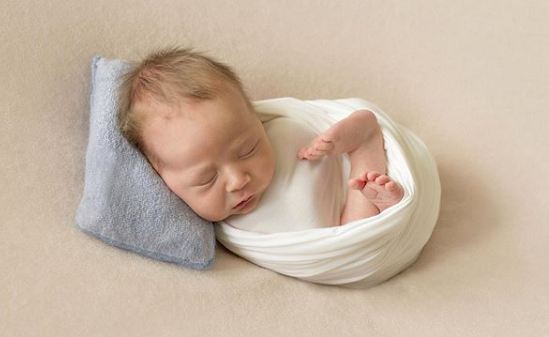 <?php the_title(); ?>